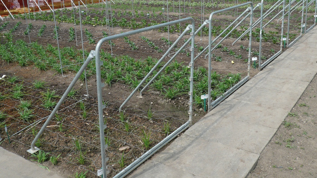 Stützen für Schnittblumen-Drahtgeflechte