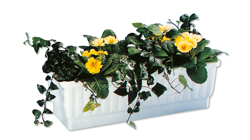 Blumenkasten VENEZIA anthrazit 60 cm, inkl. Wasserstandsanzeiger