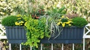 Blumenkasten VENEZIA braun 80 cm, inkl. Wasserstandsanzeiger