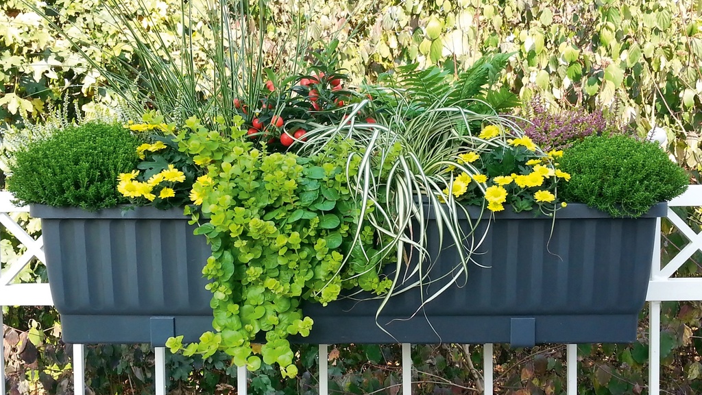 Blumenkasten VENEZIA braun 100 cm, inkl. Wasserstandsanzeiger