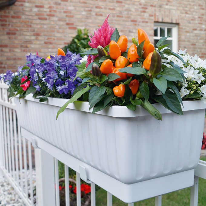Blumenkasten VENEZIA anthrazit 100 cm, inkl. Wasserstandsanzeiger