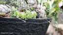 OASIS® BLACK BIOLIT® Pflanzschale ø 26 cm