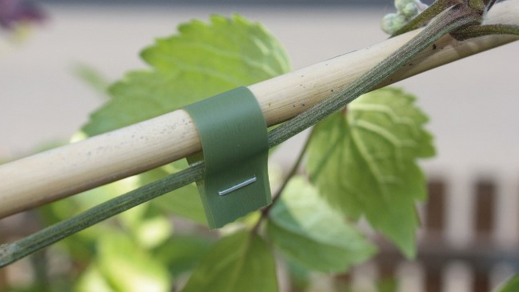 Bindeband SUPER MAX grün, 0.20 mm dick 20 m lang, 10 Rollen