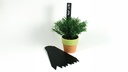 Stecketiketten schwarz, 300 x 35 mm, Beutel à 10 Stück