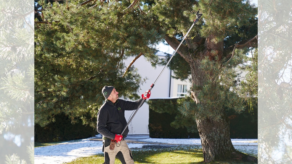 Teleskopschere FELCO 290, Länge 168-267 cm