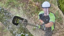 EGO Verlängerungsstange 100 cm, passend zu Teleskop-Hochentaster
