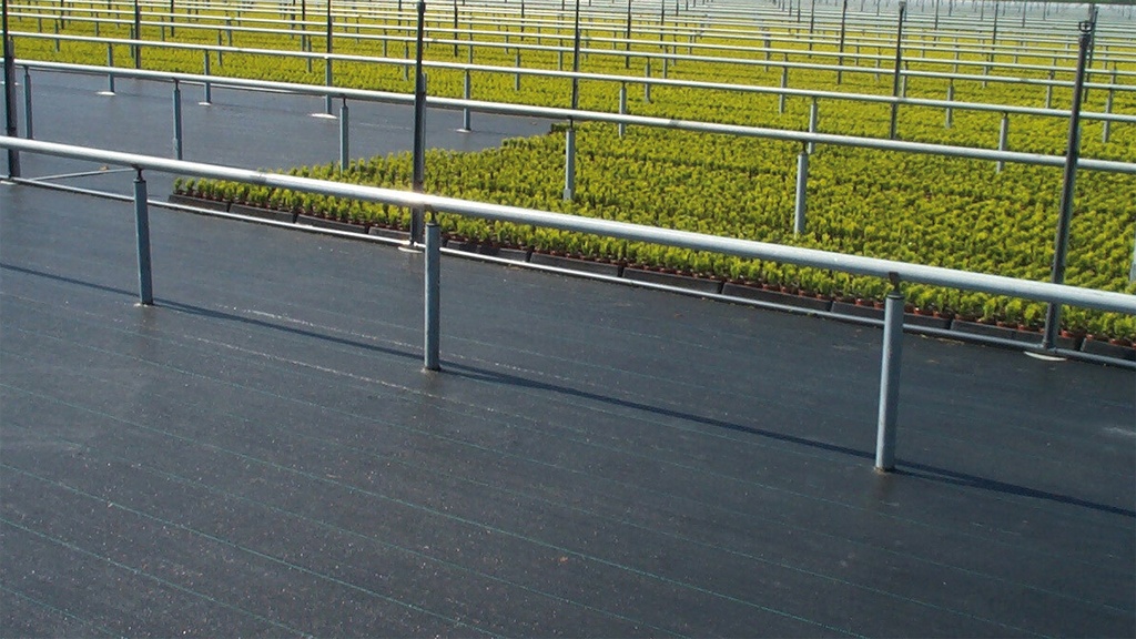 Bändchengewebe PHORMISOL 137, 132 g/m2, 100 m, 335 cm breit
