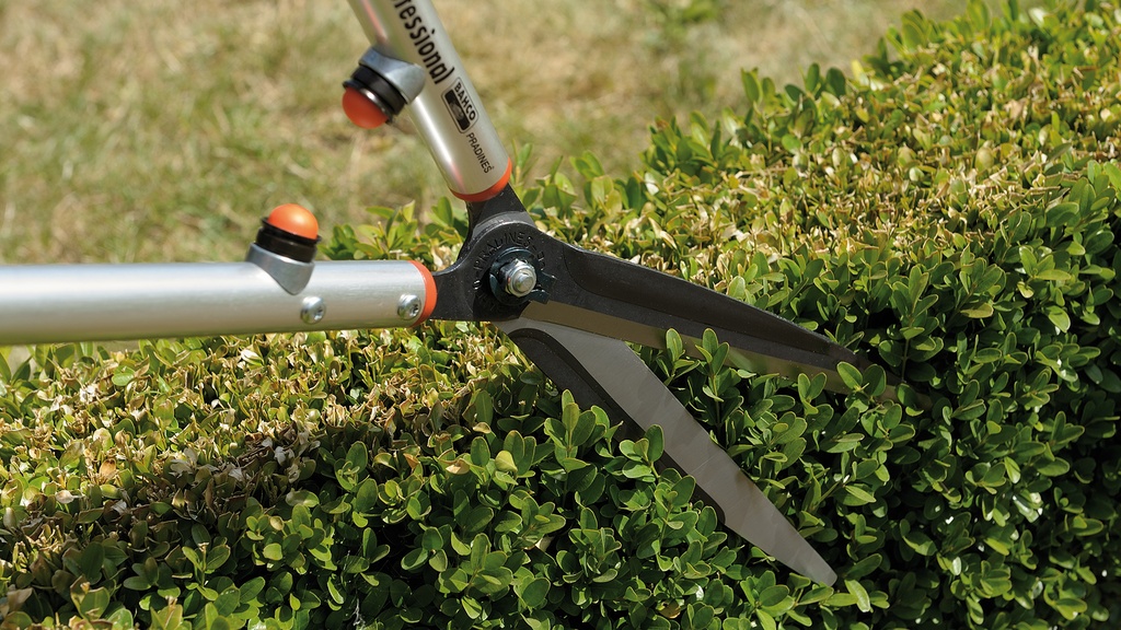 Heckenschere BAHCO P54H-SL-25