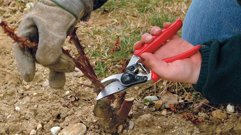 Baumschere FELCO 10, Linkshänder, Rollgriff, 21 cm lang