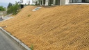 Böschungs-Sicherungsgewebe 700 g/m2, 50 m lang, 200 cm breit