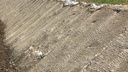 137.470_Samenmatte greentex®, 20 m lang, 120 cm breit