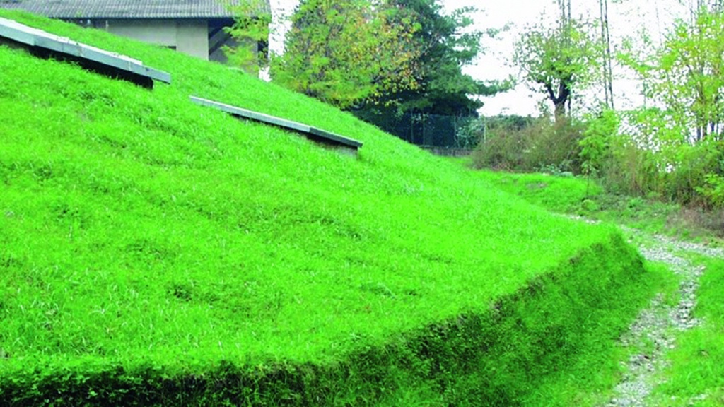 137.480_Erosionsschutz-Begrünungsmatte vorbesät 400 g/m2, 205 cm breit, Rolle à 50 m