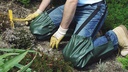 281.180_Beinlinge grün, Knieschutz für Pflanz- und Pflegearbeiten