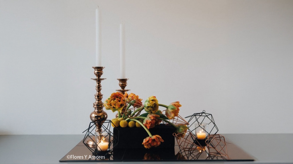 231.406_OASIS® BLACK IDEAL Frischblumen-Steckschaum, 35 Ziegel