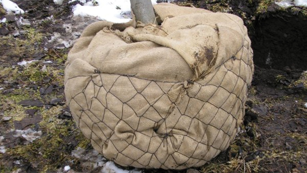 Ballierungsnetz aus Draht, Ø 100 cm (No. 5.5), Pack à 25 Stk