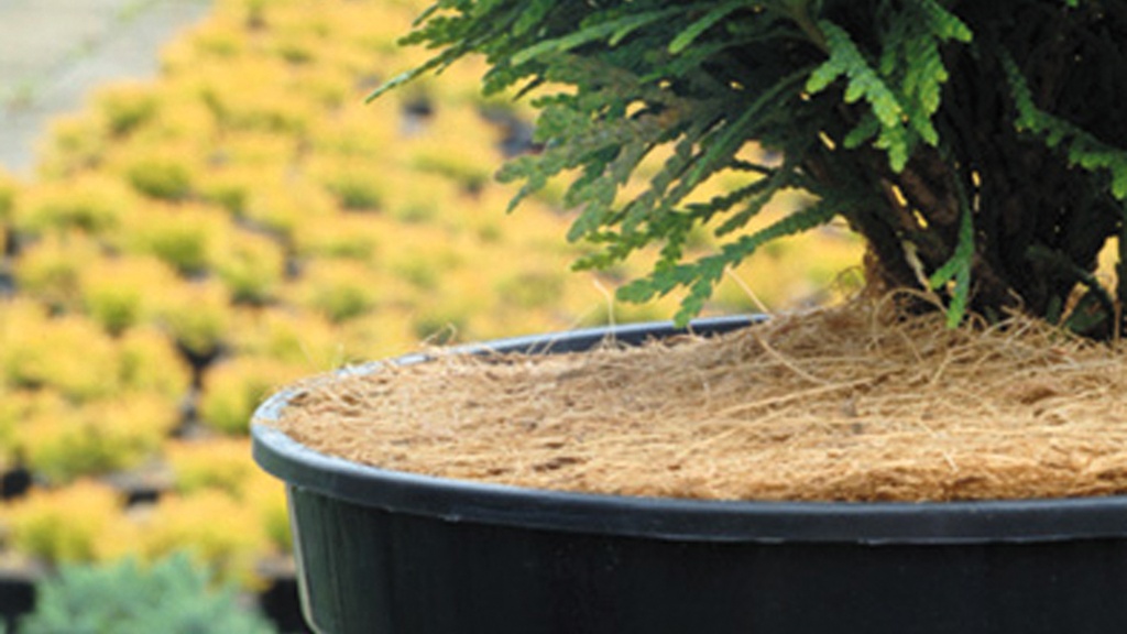 Mulchscheibe 850 g/m2, Ø 30 cm