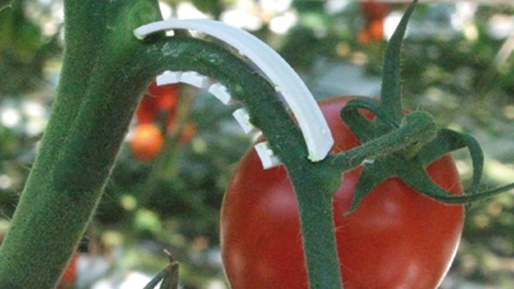Triebbügel 6 mm transparent, kurz und breit, 17'000 Stück