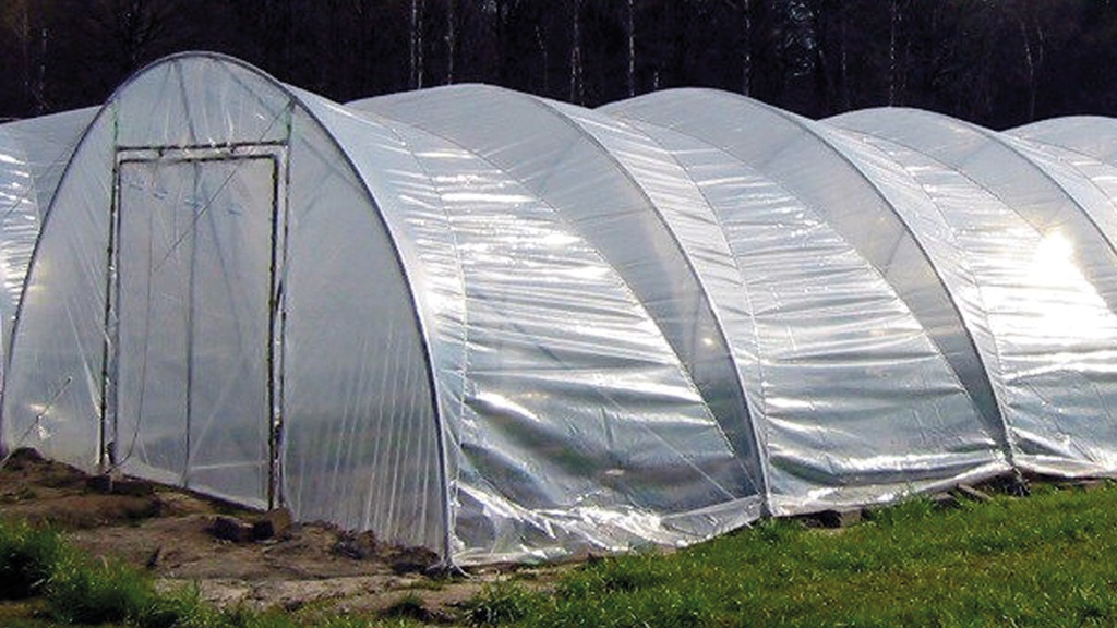 Gewächshausfolie transparent, Länge 30 m, Breite 1000 cm, Dicke 0.18 mm