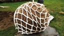 Vlies-Anwachsnetz LITE-NET BIO5 L, 150 x 80 cm