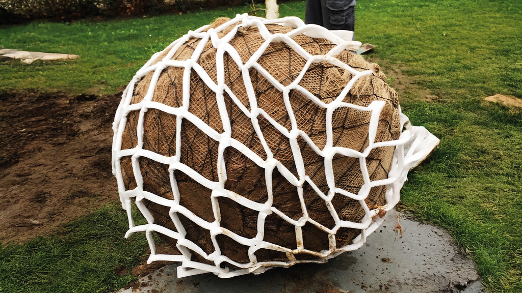 Vlies-Anwachsnetz LITE-NET BIO1 M, 110 x 70 cm