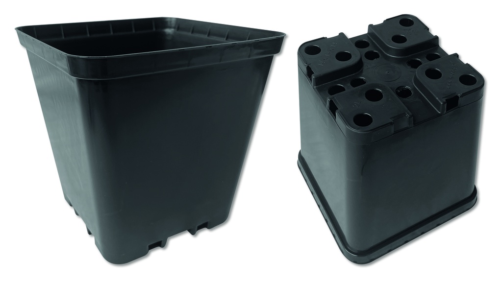 Kakteen-Container schwarz 14 x 14 x 14 cm, 240 Stück