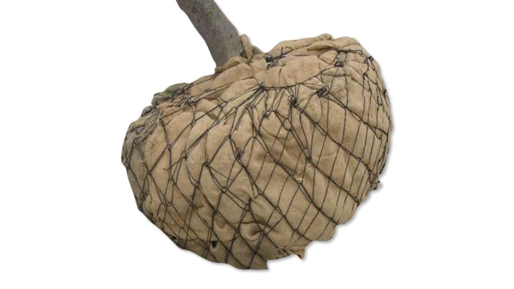 Ballierungsnetz aus Draht, Ø 110 cm (No. 6), Pack à 25 Stk.