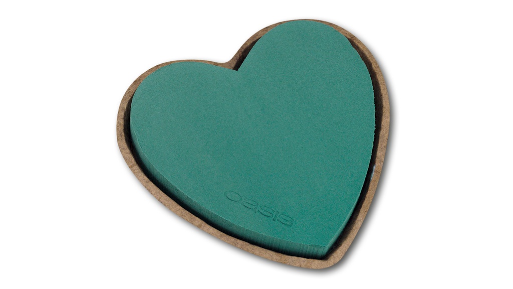 OASIS® BIOLIT® coeur 17 x 17 x 4 cm 4 pièces