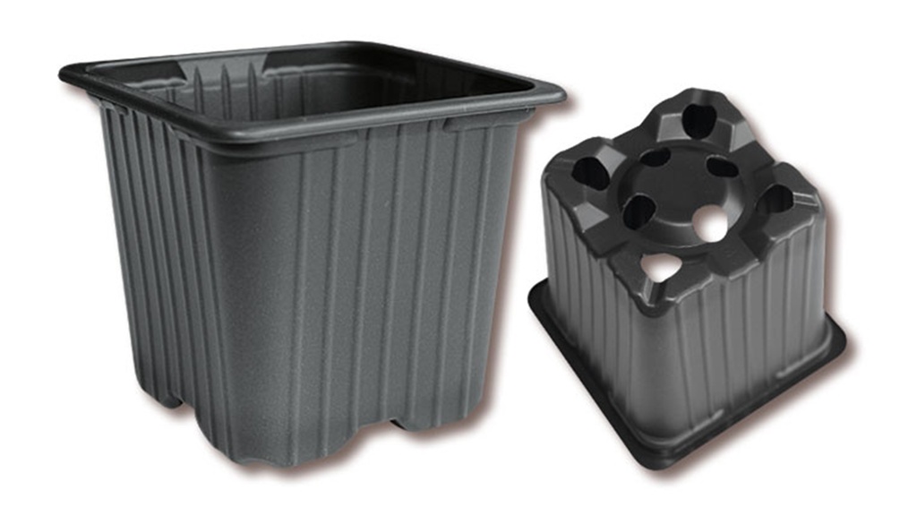 Pot carré DESCH 5° noir 7 x 7 x 6 cm, 3612 pièces