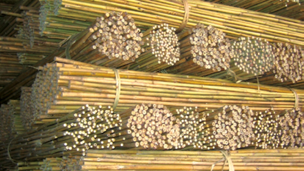 Tonkin-Stab 240 cm ø 20-22 mm, Bund à 50 Stück