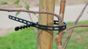 Stammband, 420 mm lang, Beutel à 100 Stück