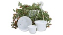 Blumenampeln ROYAL-TOP blau, 20 cm ø