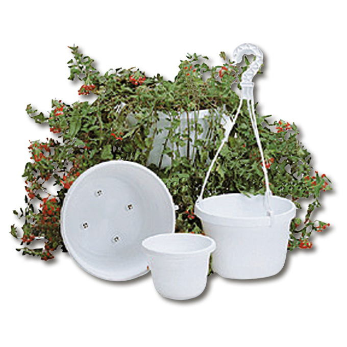 Blumenampeln PRINCESS weiss, 20 cm ø