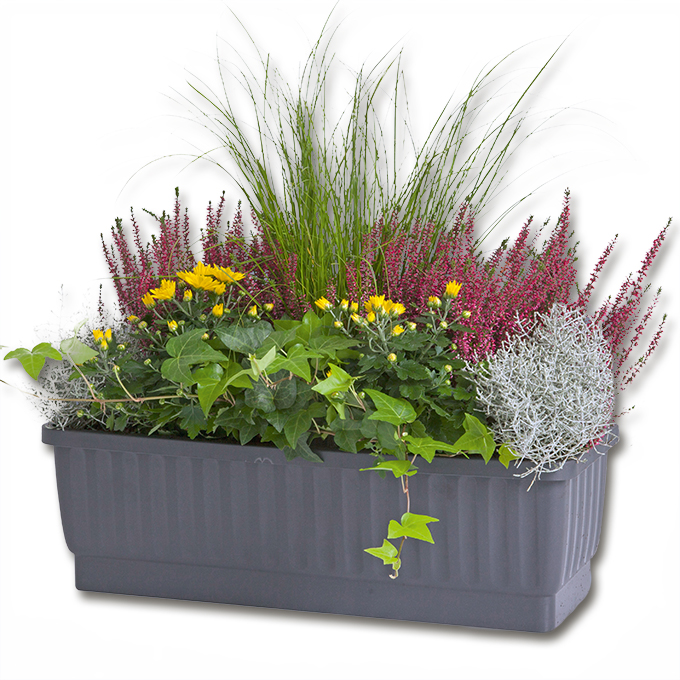 Jardinière VENEZIA anthracite 100 cm, avec indicateur de niveau de l’eau