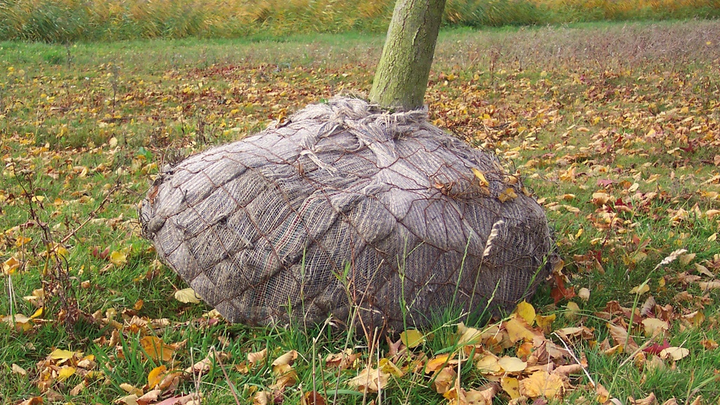 Tissé PLANTATEX largeur 100 cm, rouleau de 100 m