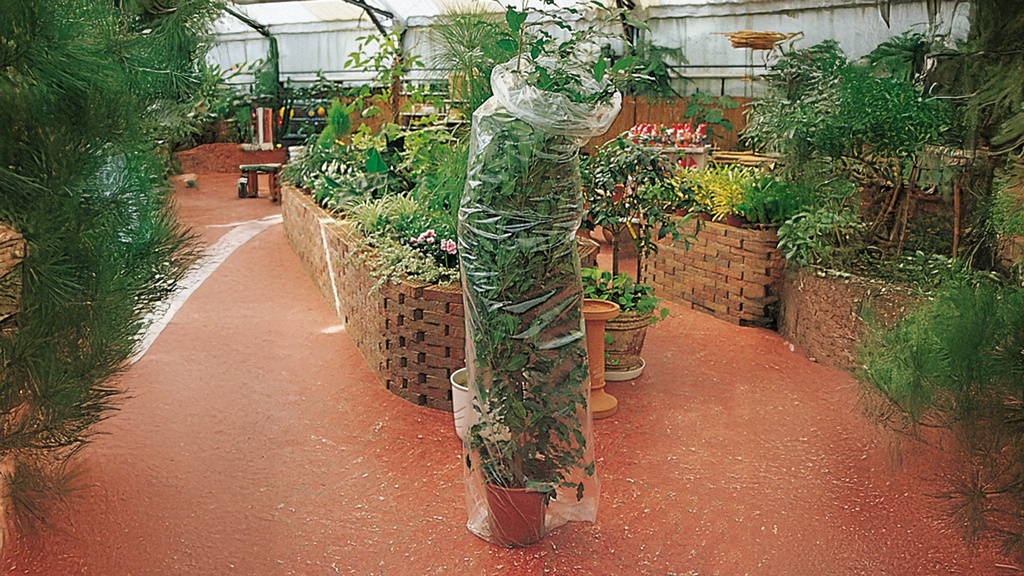 Feuille en plastique, largeur 60 cm, rouleau de 290 m