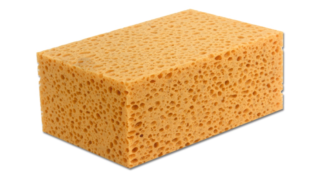 Maurerschwamm