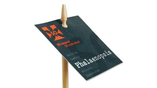 Etikettenstab «Bambus» 16 cm
