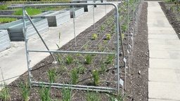[201.070] Stützen für Schnittblumen-Drahtgeflechte