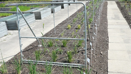 Stützen für Schnittblumen-Drahtgeflechte
