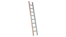 [205.100] Échelle simple, en aluminium, 10 échelons, longueur 2.99 m