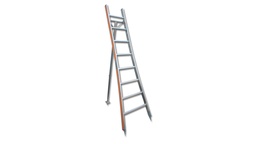 [205.130] Buschbaumleiter aus Aluminium, 10 Sprossen, 3.09 m lang