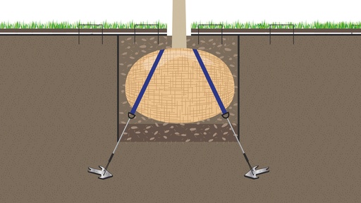Wurzelballenverankerung mit Erdanker, Baumhöhe 4.5-7 m