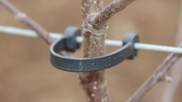 [203.410] Bride pour tronc d’arbre, 100 mm, pour fil Ø 2.0-2.2 mm