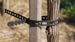 [203.625] Rebband, 310 mm lang, Beutel à 250 Stück