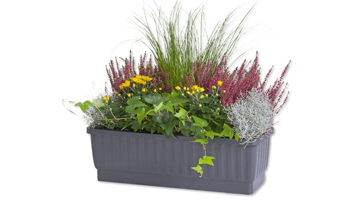 Blumenkasten VENEZIA weiss 80 cm, inkl. Wasserstandsanzeiger