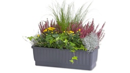 [232.000.4] Jardinière VENEZIA anthracite 60 cm, avec indicateur de niveau de l’eau