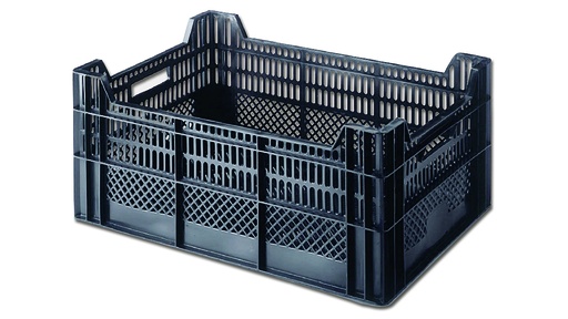 Staudenkiste 60 x 40 x 22/25 cm gross